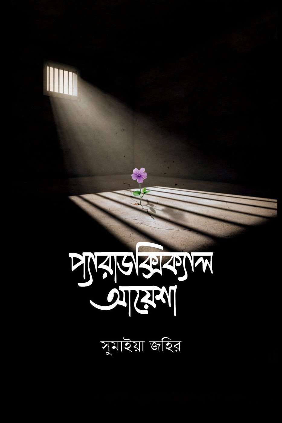 প্যারাডক্সিক্যাল আয়েশা